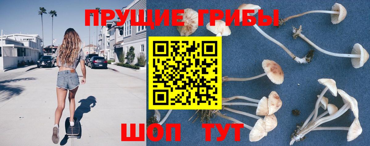 Вязьма  Псилоцибиновые грибы прущие грибы  Вход с VPN 